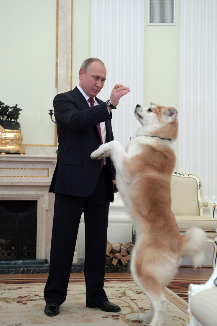 Vladimir Putin dog diplomacy Yume