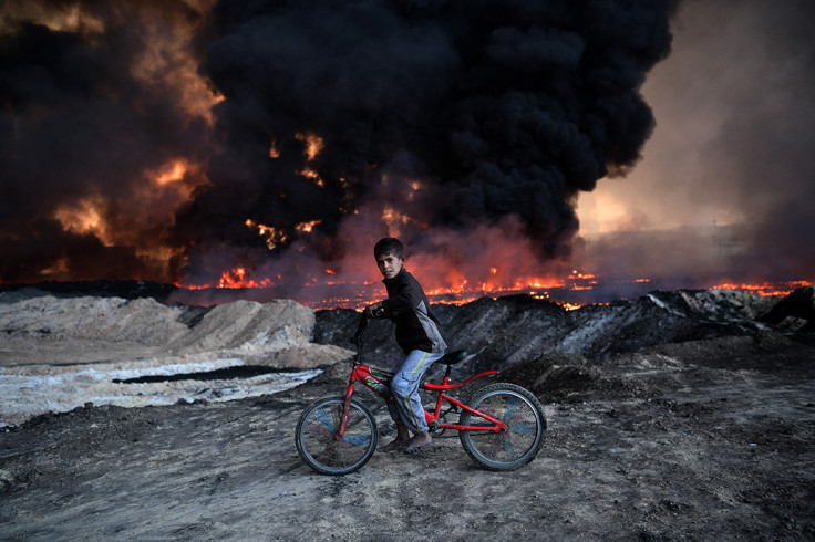 Getty Images photographers best photos of 2016