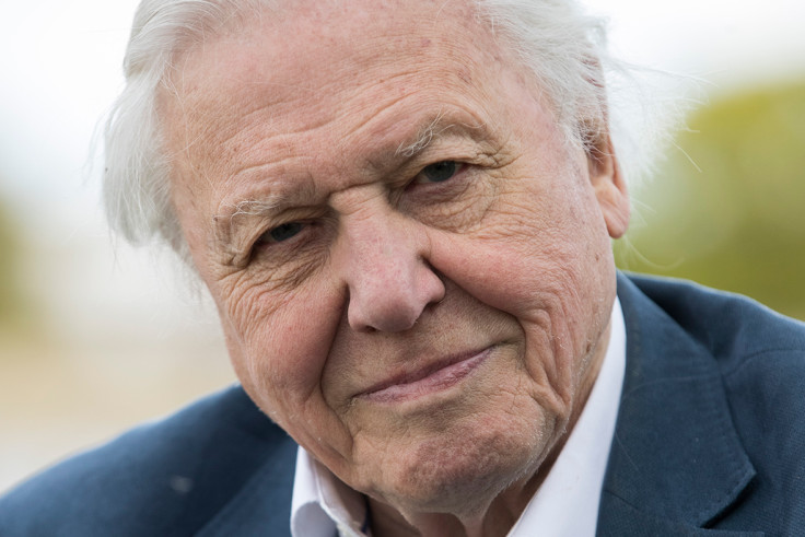 David Attenborough