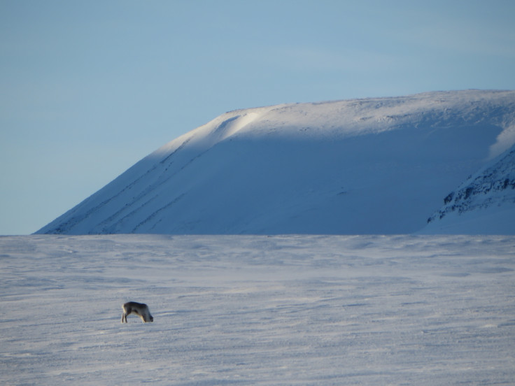 Svalbard