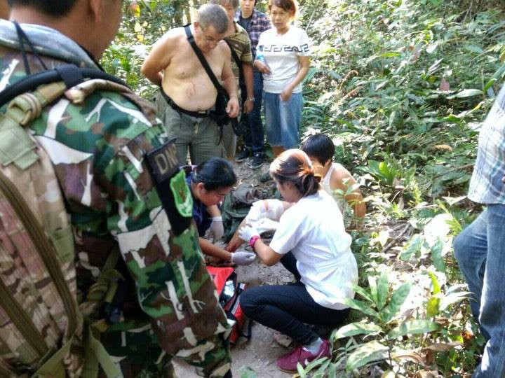 Woman treated for crocodile bite