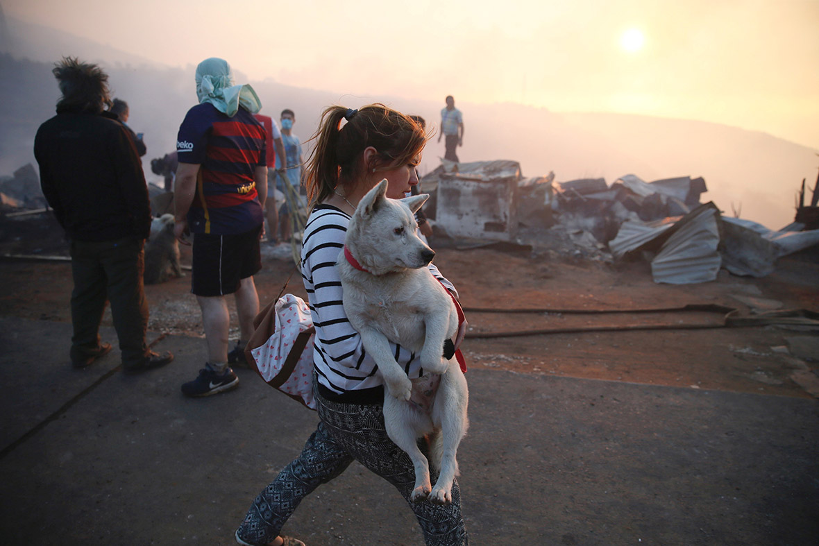 Chile Photos of Valparaiso forest fire that burned hundreds of homes