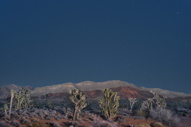 Gold Butte