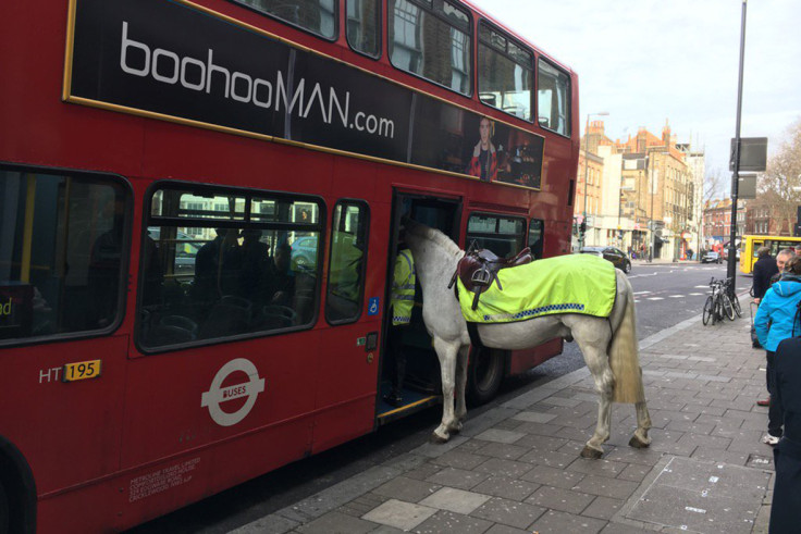 Police horse bus