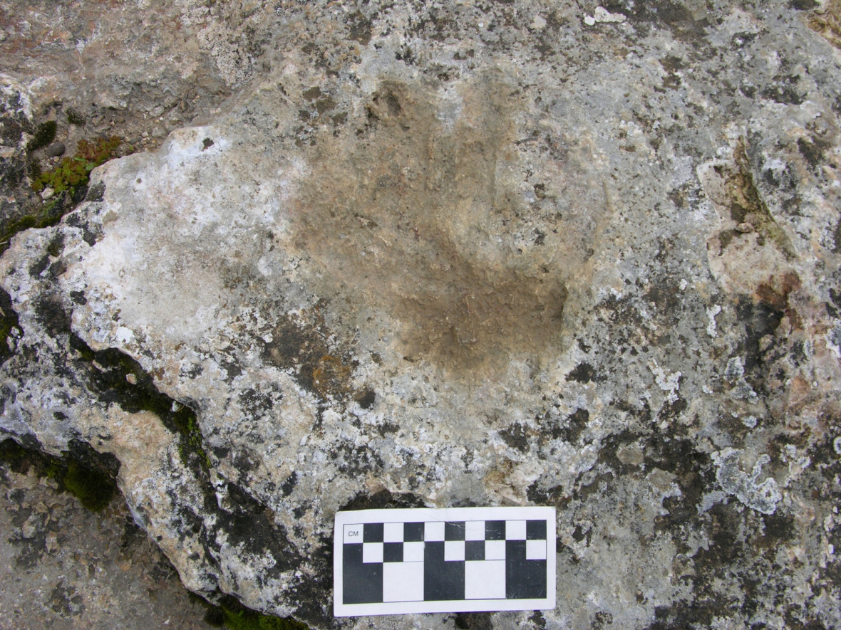 Chusang handprint Chusang handprint
