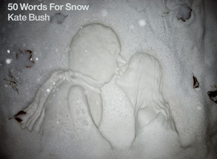 Kate Bush-50 Words For Snow