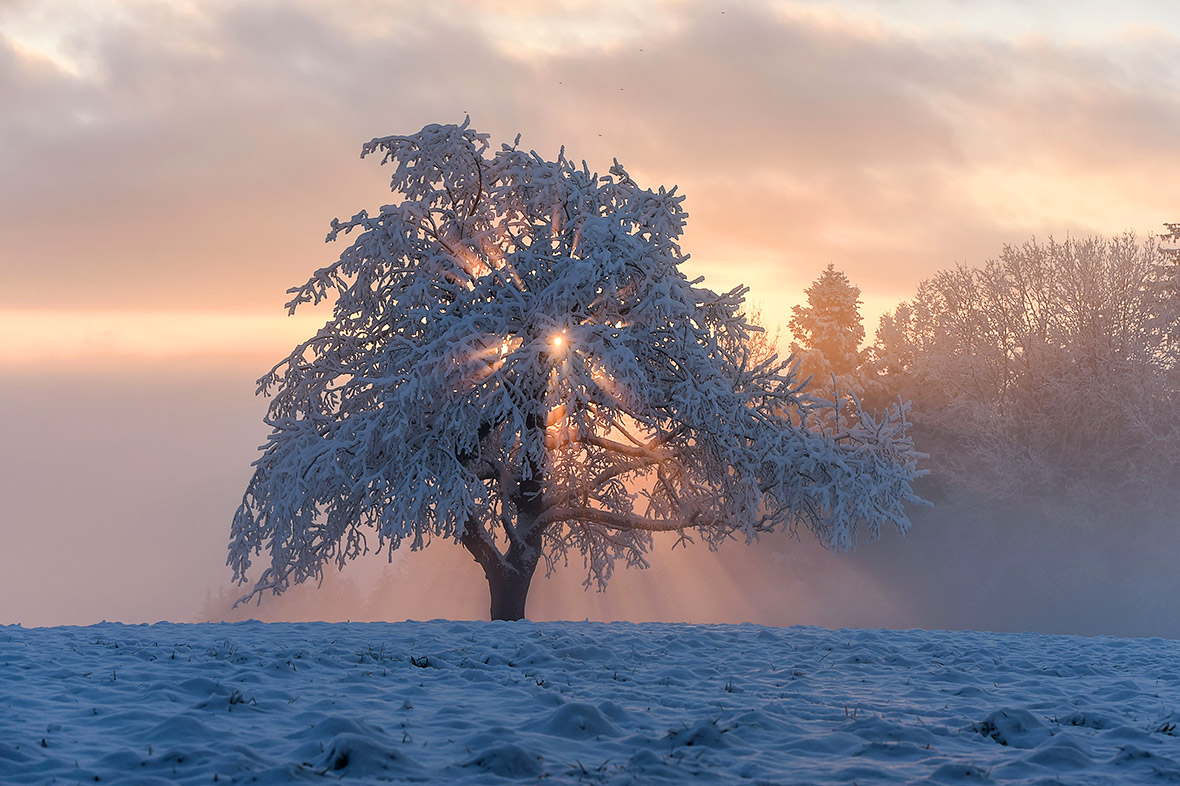 winter-weather-photos-of-snow-and-floods-in-germany-france-and-across