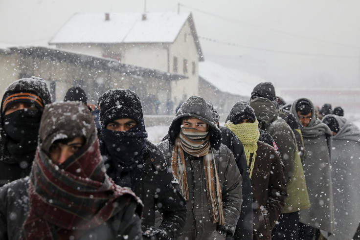 Belgrade refugees