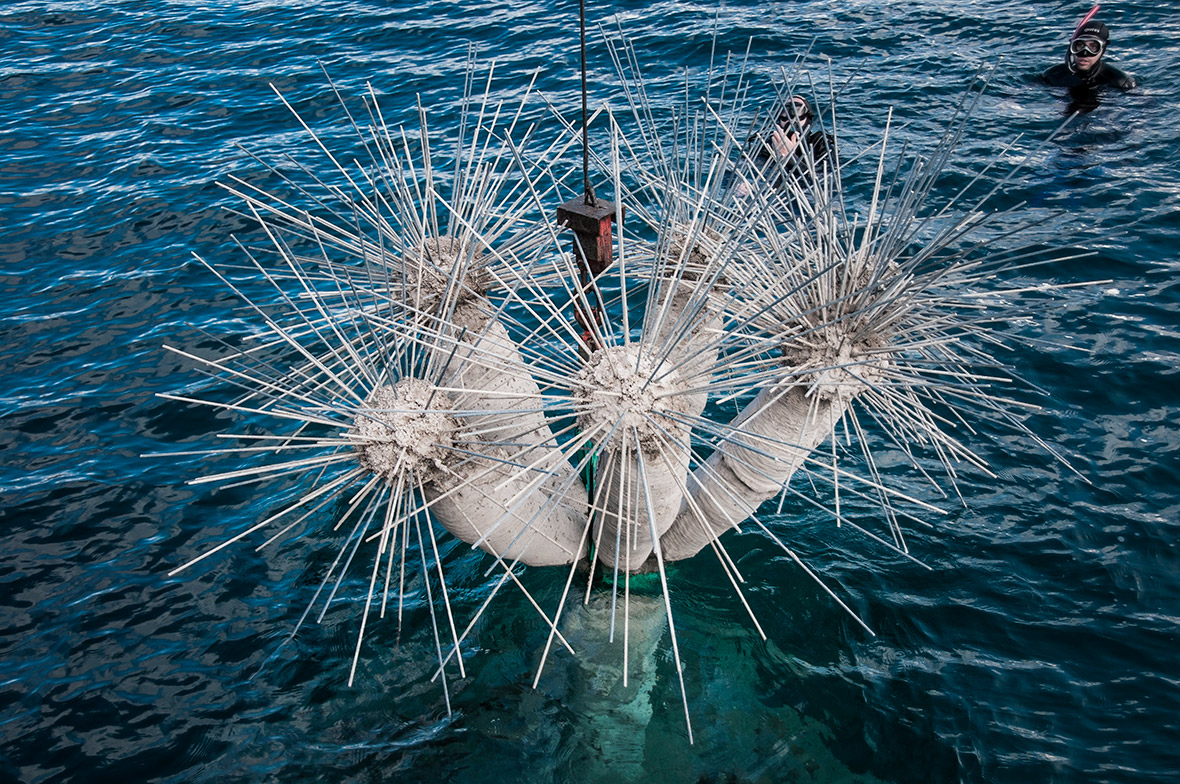 Museo Atlántico in Lanzarote Europe's first underwater art museum, by
