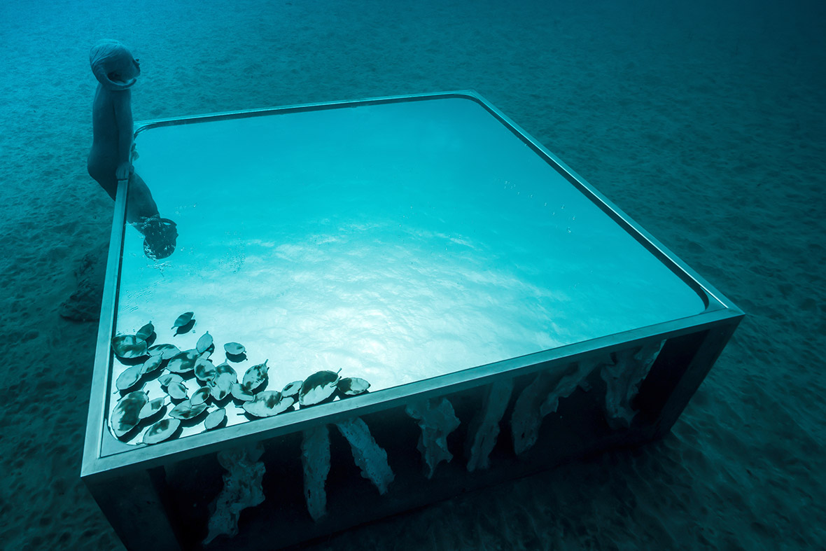 Museo Atlántico in Lanzarote Europe's first underwater art museum, by