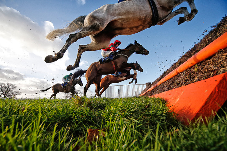 Taunton Races