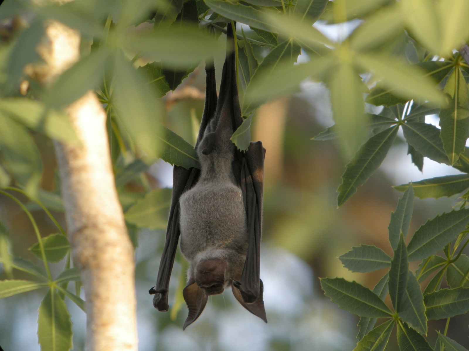 Why do women have periods? Everything you need to know about menstruation