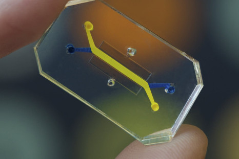 Wyss Institute's Organ-on-a-chip 
