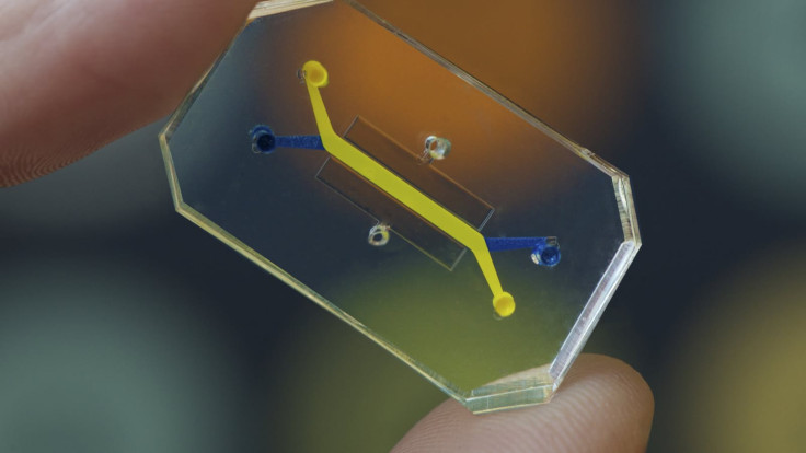 Wyss Institute's Organ-on-a-chip 