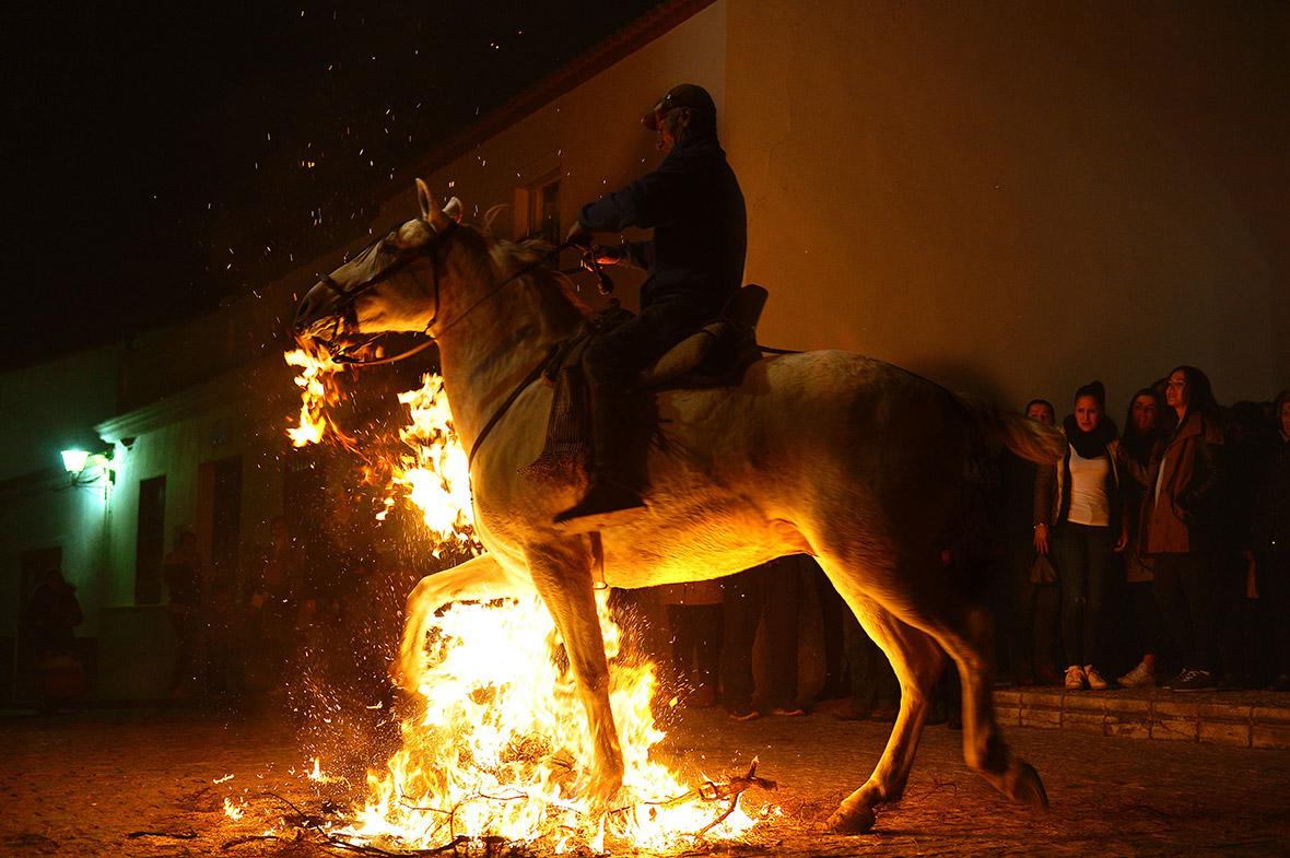 Spain horses fire las luminarias