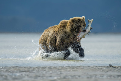 outdoor photographer of the year