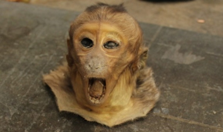 monkey head