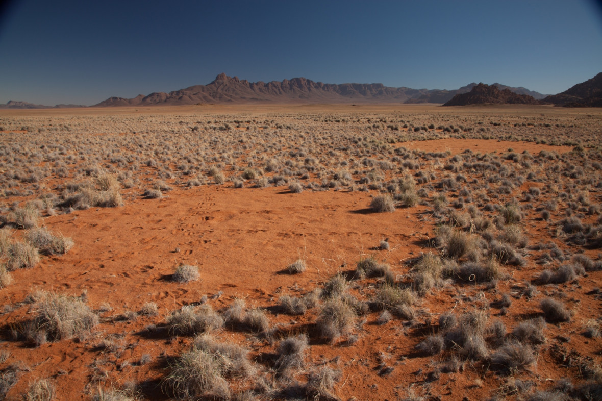 Namibia fairy circle Namibia fairy circle