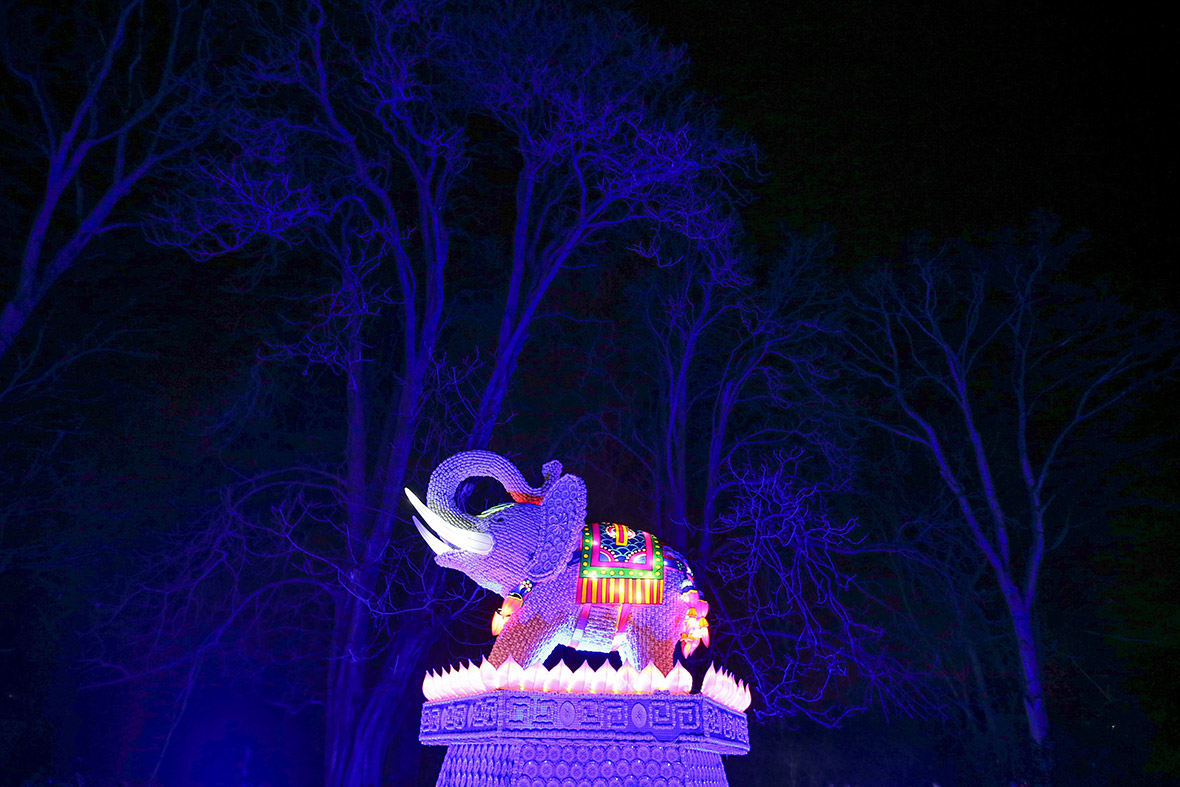 Pictures of Chiswick House Magical Lantern Festival celebrating Chinese New Year in London