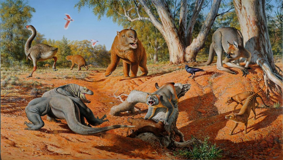 Australia megafauna Australia megafauna