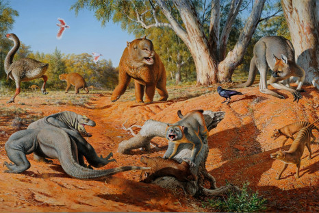Australia megafauna