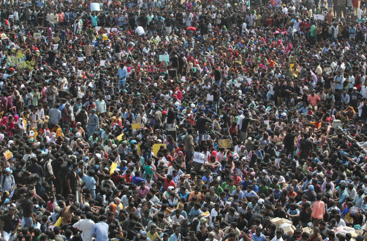 Tamil Nadu jallikattu protests