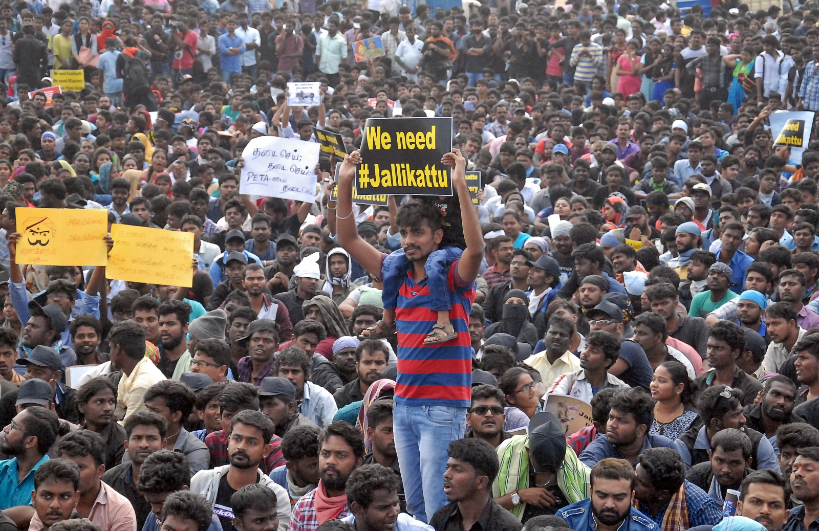 Jallikattu: Vehicles and police station set on fire as peaceful ...