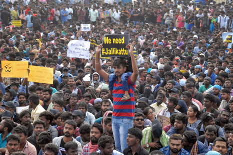 Tamil Nadu jallikattu protests