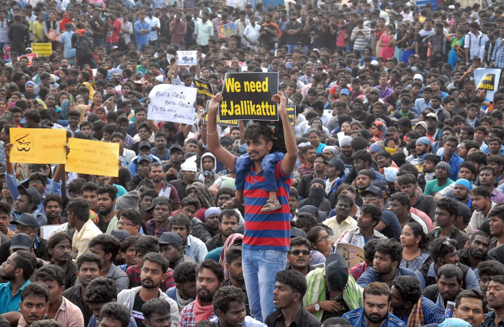 Tamil Nadu jallikattu protests