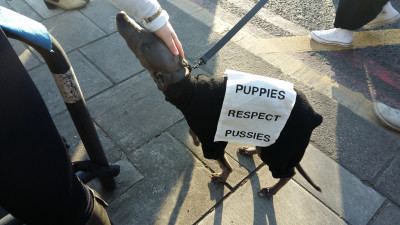 Dogs Womens march on London