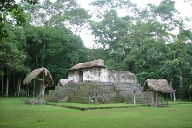 Ceibal Maya