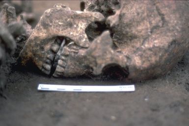Roman Britain man found with mutilated tongue 
