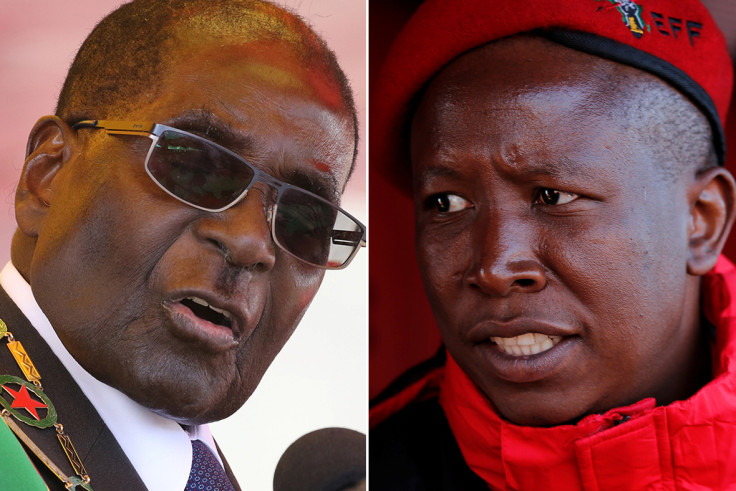 Robert Mugabe, Julius Malema