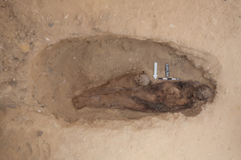Saqqara burial