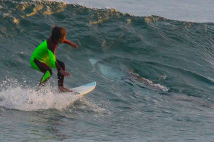 Eden Hasson shark near miss Australia