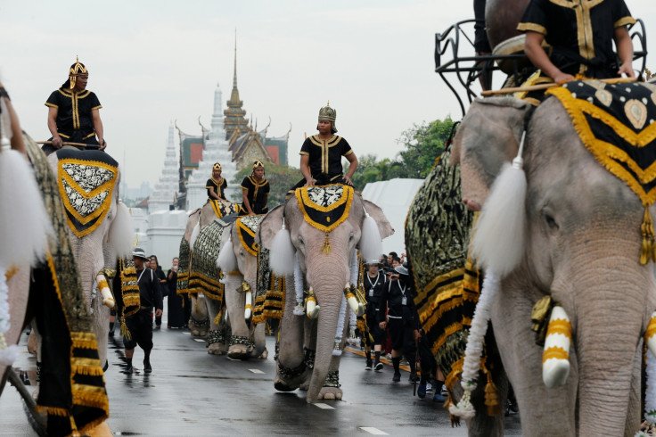 Elephant procession in Thailand honouring Bhumibol Adulyadej