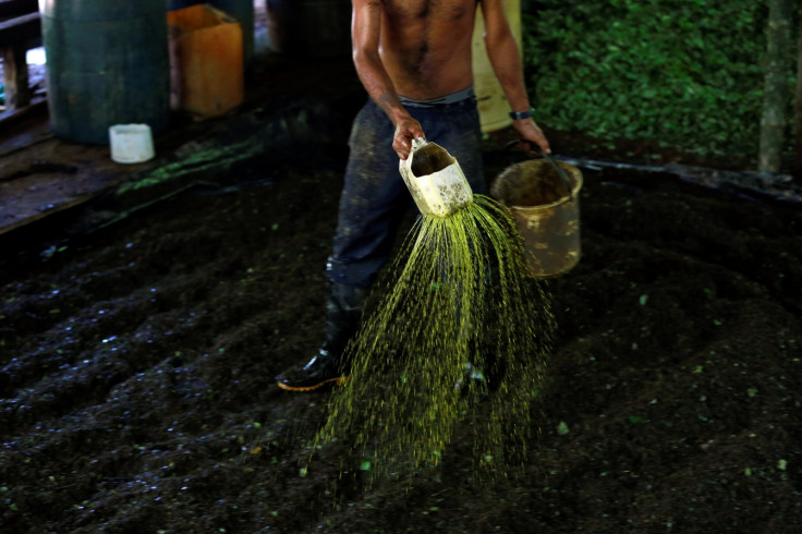 Cocaine crop cultivation in Colombia