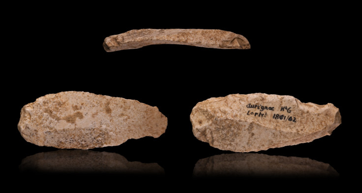 Aurignacian flint blades