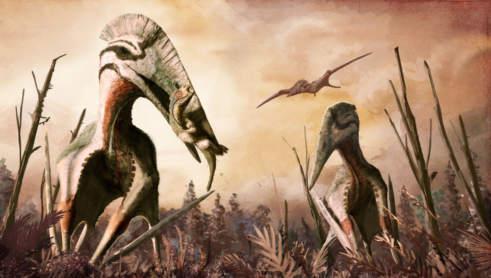 These 70 million-year-old remains may belong to the largest flying animal ever discovered