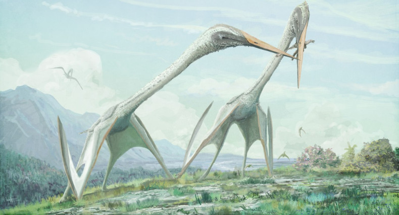 Azhdarchid pterosaur