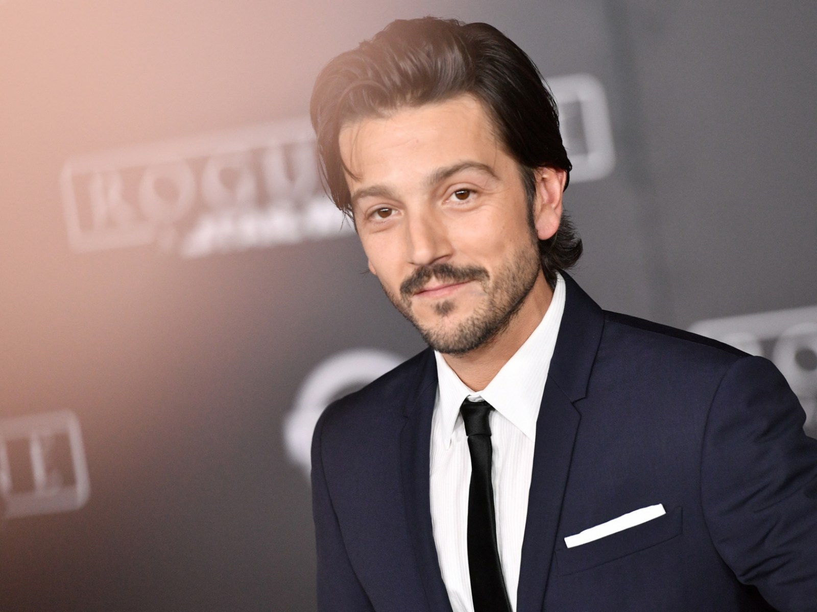 Diego Luna The Terminal