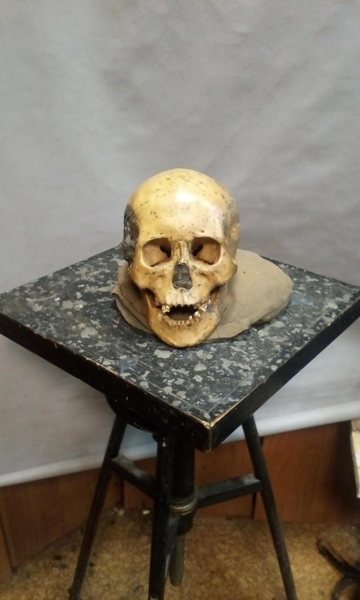 Skull