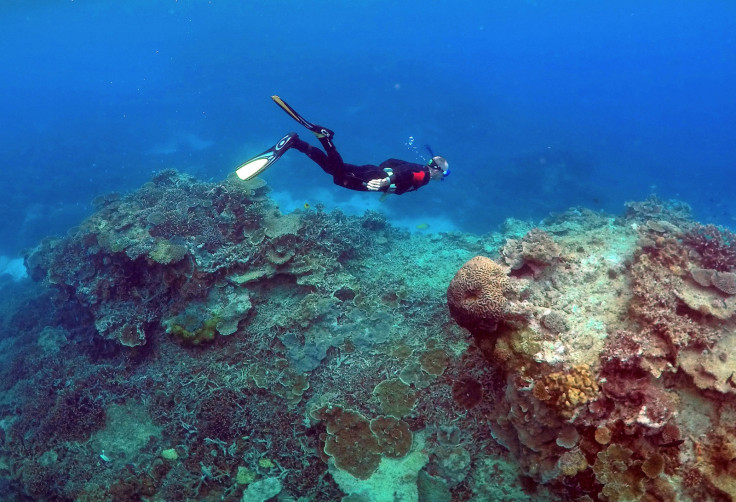 Great Barrier Reef 