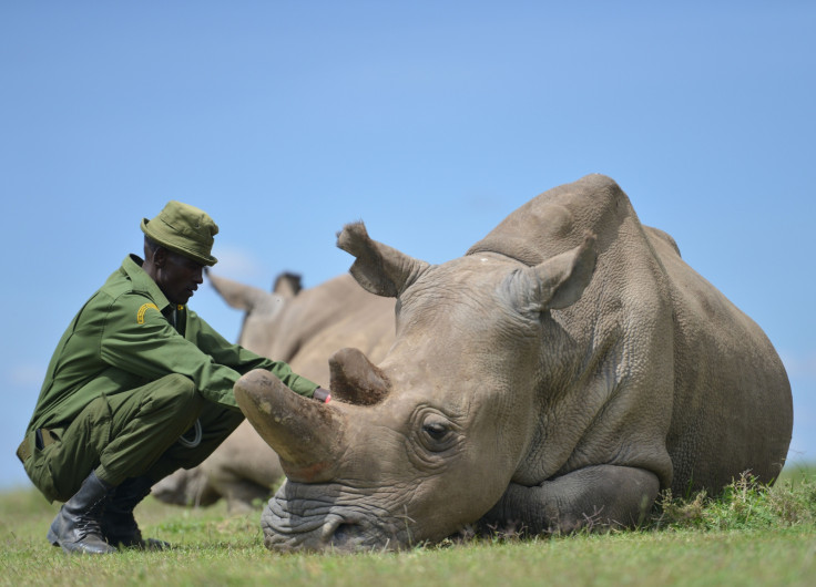 fco travel kenya