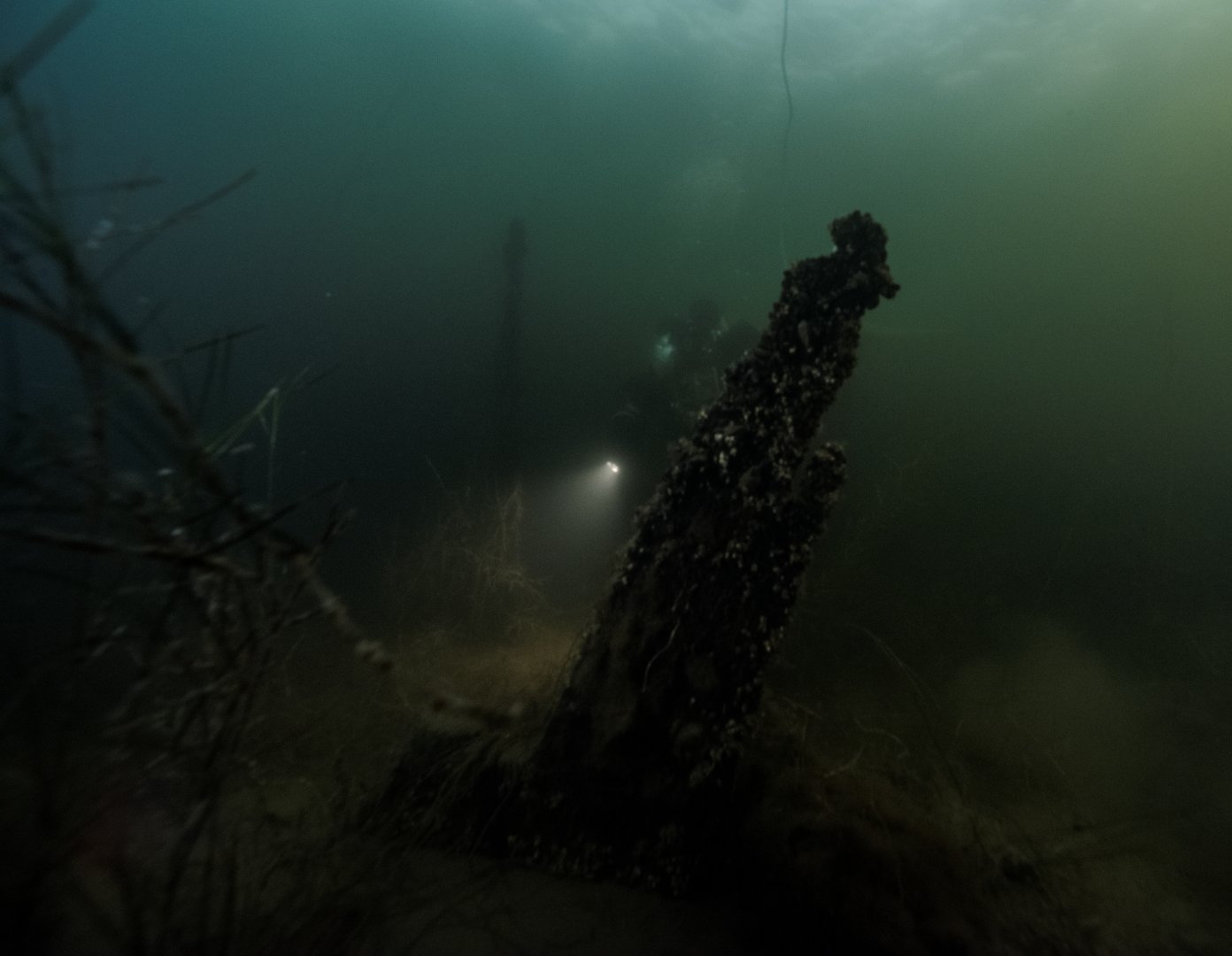 Marine archaeology: Swedish shipwreck Blekinge tells the history of ...