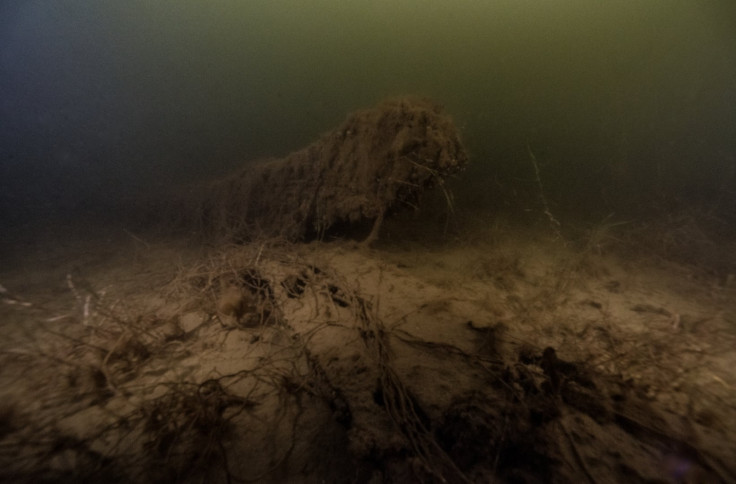 shipwreck Sweden