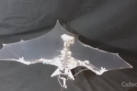 Bat Bot drone