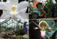 Kew Gardens Kew Gardens