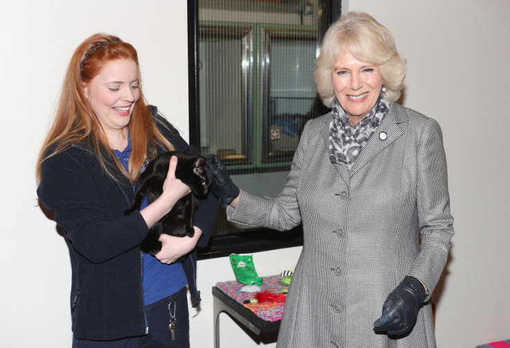 Duchess of Cornwall with a cat