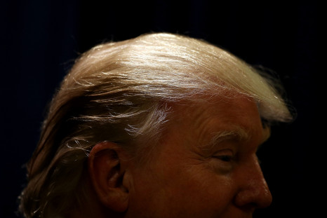 Trump hair 